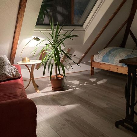 Privates Appartment Ferienwohnung Im Einfamilienhaus デュッセルドルフ エクステリア 写真