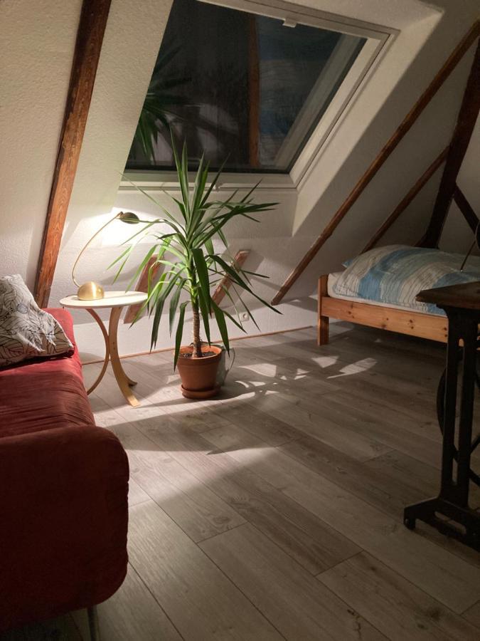 Privates Appartment Ferienwohnung Im Einfamilienhaus デュッセルドルフ エクステリア 写真
